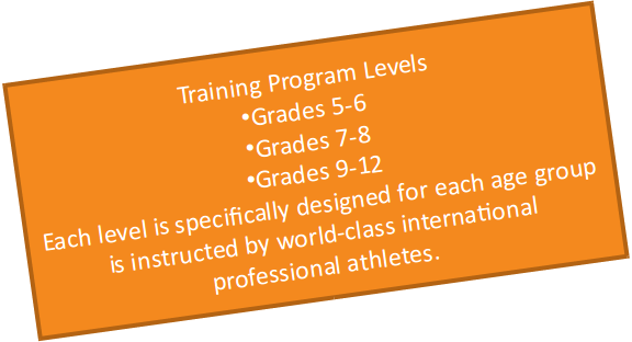 Training Program Levels